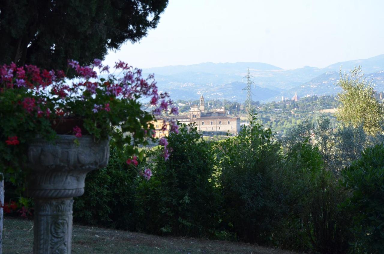 Podere Di Montecchio فلورنس المظهر الخارجي الصورة