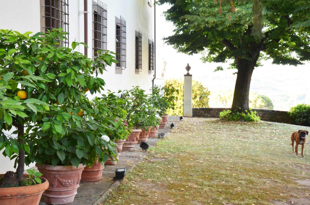 Podere Di Montecchio فلورنس المظهر الخارجي الصورة